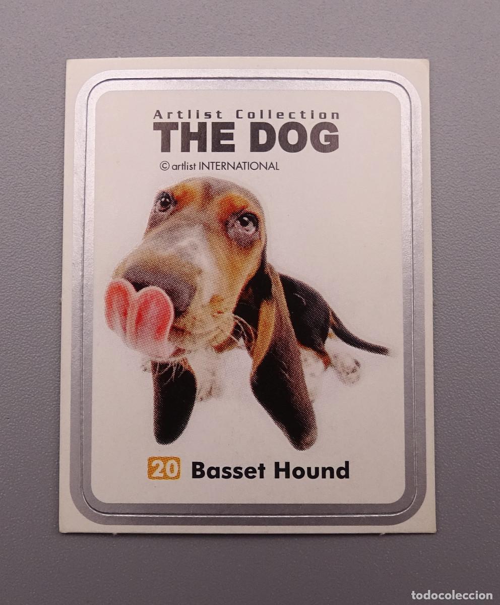 Coleccionismo Cromos antiguos: Cromo Artlist Collection The Dog - Chipicao Matutano - Basset Hound N&ordm; 20