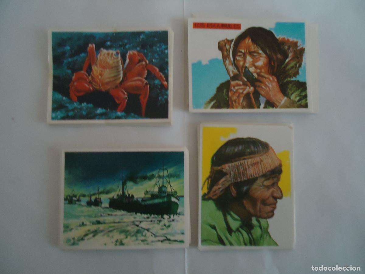 Colecionismo Cromos antigos: COLECCION DE 151 CROMOS DIFERENTES DE AMERICA Y SUS HABITANYES. A&Ntilde;O 1968. NUEVOS, NUNCA PEGADOS