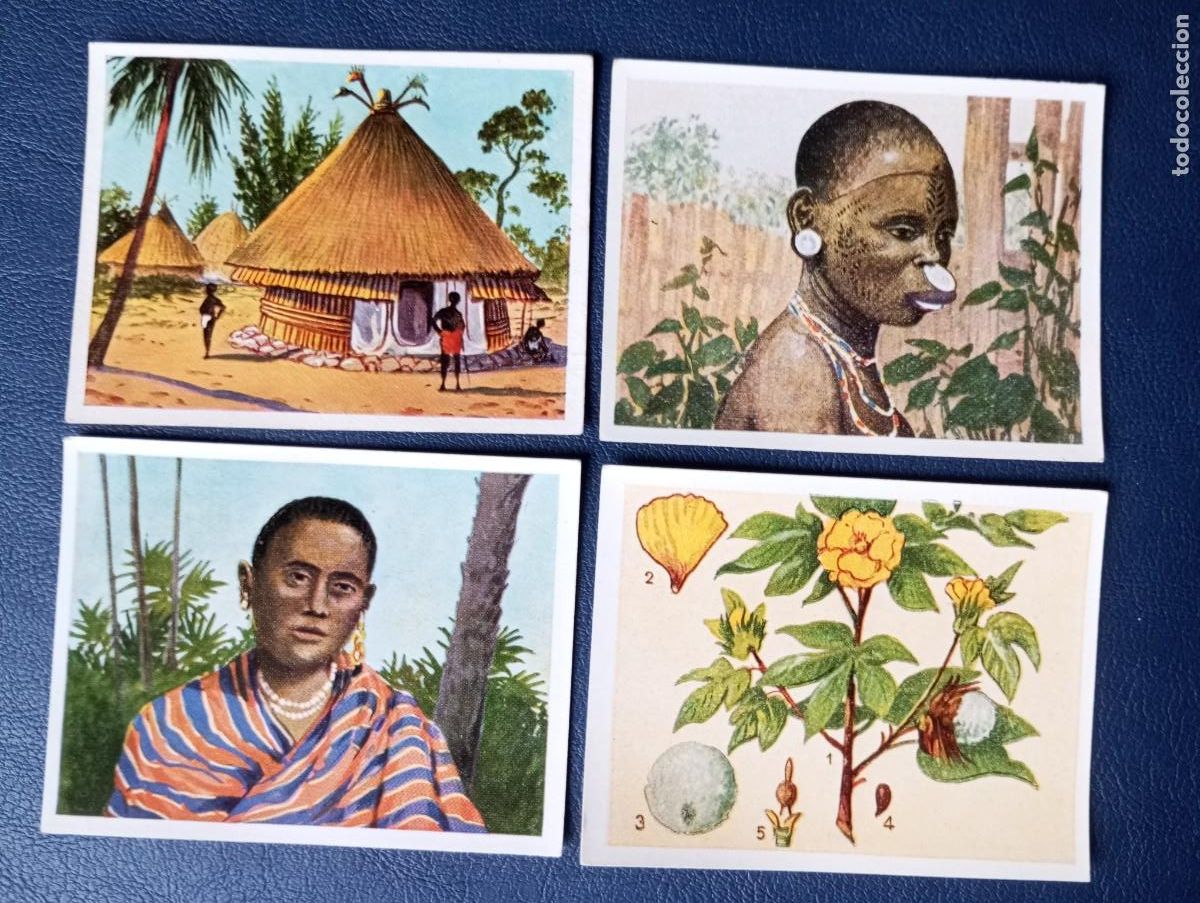 Coleccionismo cromos antiguos: DEUTSCHE KOLONIEN, ANTIGUOS CROMOS DE ECKSTEIN - Foto 1