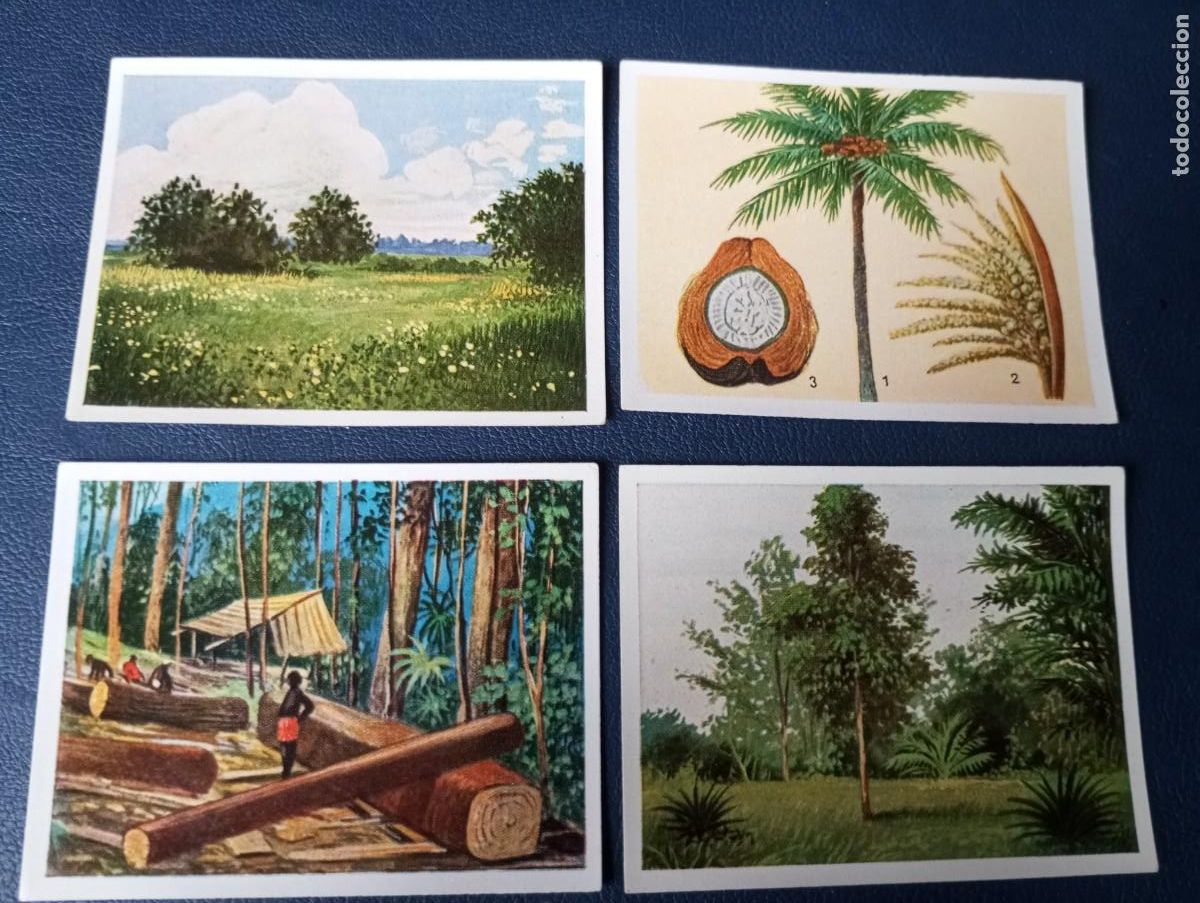 Coleccionismo cromos antiguos: DEUTSCHE KOLONIEN, ANTIGUOS CROMOS DE ECKSTEIN - Foto 1