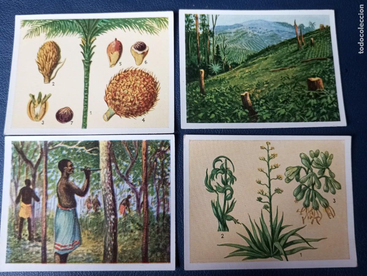 Coleccionismo cromos antiguos: DEUTSCHE KOLONIEN, ANTIGUOS CROMOS DE ECKSTEIN - Foto 1