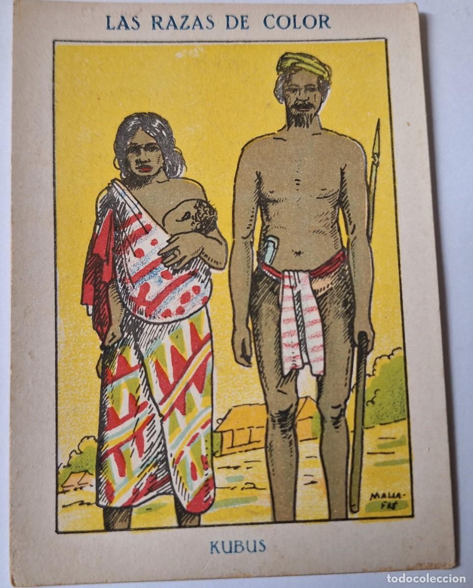 Colecionismo Cromos antigos: CROMO ANTIGUO - LAS RAZAS EN COLOR - A&Ntilde;OS 20 - KUBUS - CHOCOLATES AMATLLER - BUEN ESTADO