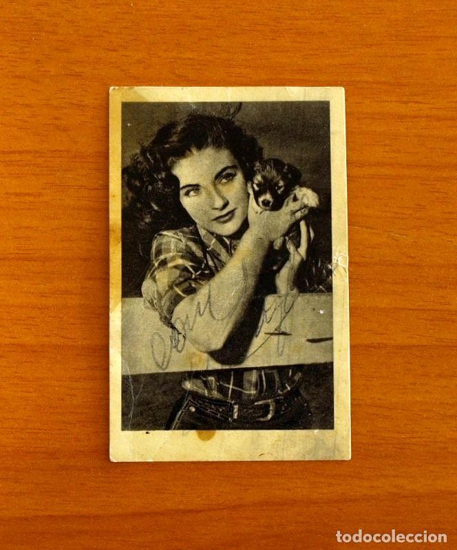Coleccionismo Cromos antiguos: Estrellas de la Pantalla -N&ordm; 85 Margaret Sheridan -Serie Primera 1&ordf;- Editorial Ruiz Romero A&ntilde;o 1954