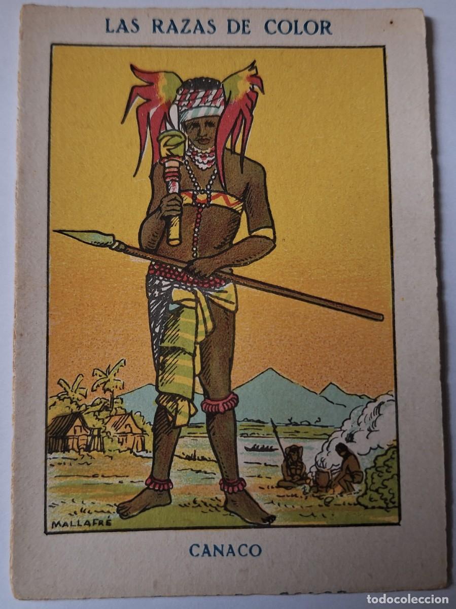 Colecionismo Cromos antigos: CROMO ANTIGUO - LAS RAZAS EN COLOR - A&Ntilde;OS 20 - CANACO - CHOCOLATES AMATLLER - BUEN ESTADO