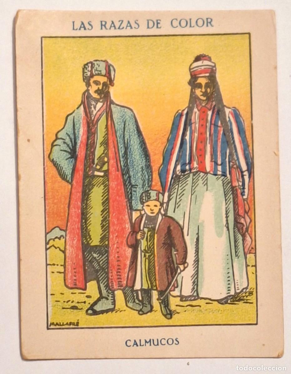 Colecionismo Cromos antigos: CROMO ANTIGUO - LAS RAZAS EN COLOR - A&Ntilde;OS 20 -CALMUCOS - CHOCOLATES AMATLLER - BUEN ESTADO