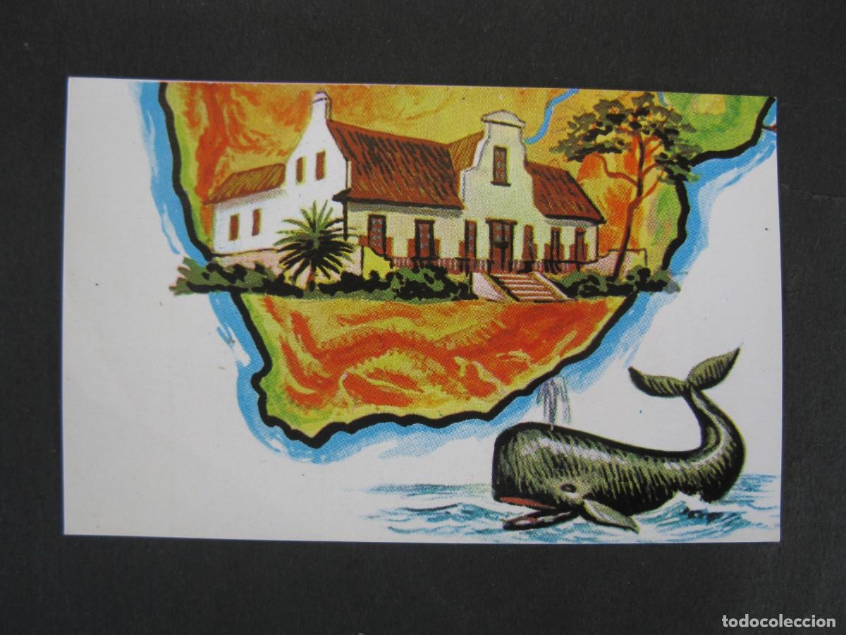 Coleccionismo Cromos antiguos: NUESTRO MUNDO - CROMO N&ordm; 94 - GRANJA BOER EN SUD&Aacute;FRICA Y BALLENA - BIMBO - NUNCA PEGADO.