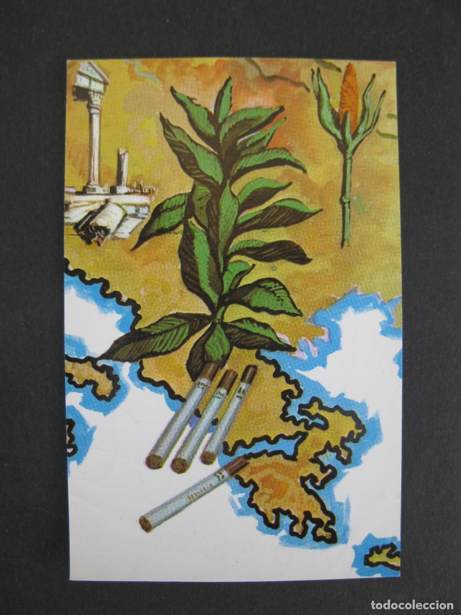 Coleccionismo Cromos antiguos: NUESTRO MUNDO - CROMO N&ordm; 34 - RECOLECCI&Oacute;N Y MANUFACTURAS DE TABACO - BIMBO - NUNCA PEGADO.