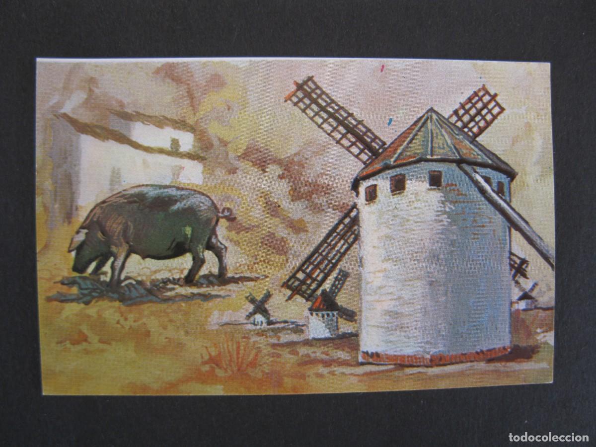 Coleccionismo Cromos antiguos: NUESTRO MUNDO - CROMO N&ordm; 15 - MOLINOS DE VIENTO Y GANADO PORCINO - BIMBO - NUNCA PEGADO.