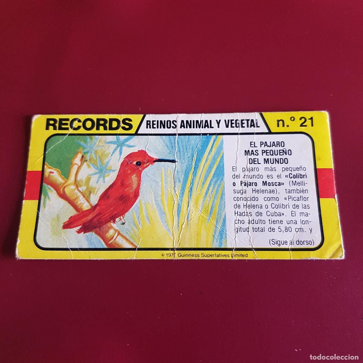 Coleccionismo Cromos antiguos: BIMBO - LOS RECORDS DEL MUNDO - REINOS ANIMAL Y VEGETAL 21
