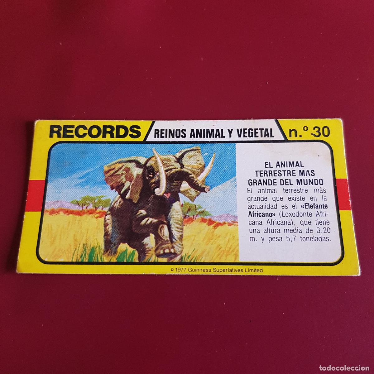 Coleccionismo Cromos antiguos: BIMBO - LOS RECORDS DEL MUNDO - REINOS ANIMAL Y VEGETAL 30