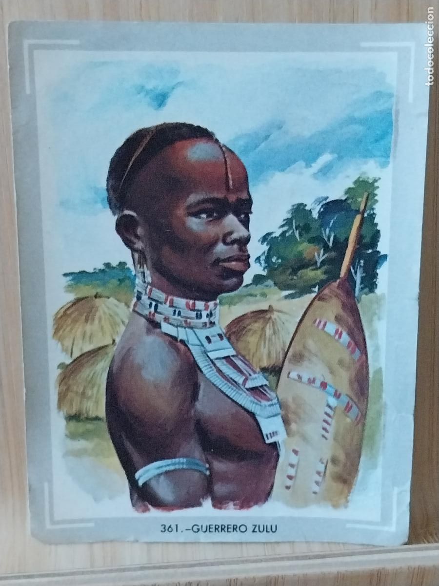 Coleccionismo Cromos antiguos: VIDA Y COLOR A&Ntilde;O 1965 CROMO 361 NATIVO ZULU SIN PEGAR NUNCA