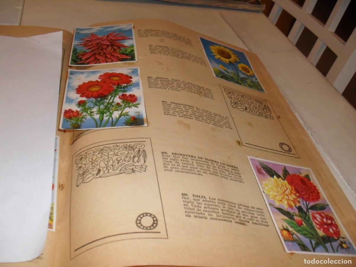 Coleccionismo Cromos antiguos: LAMINA CON 9 CROMOS ORNATO DE LOS JARDINES,(LEASE),DEL ALBUM HISTORIA NATURAL,BRUGUERA,1967