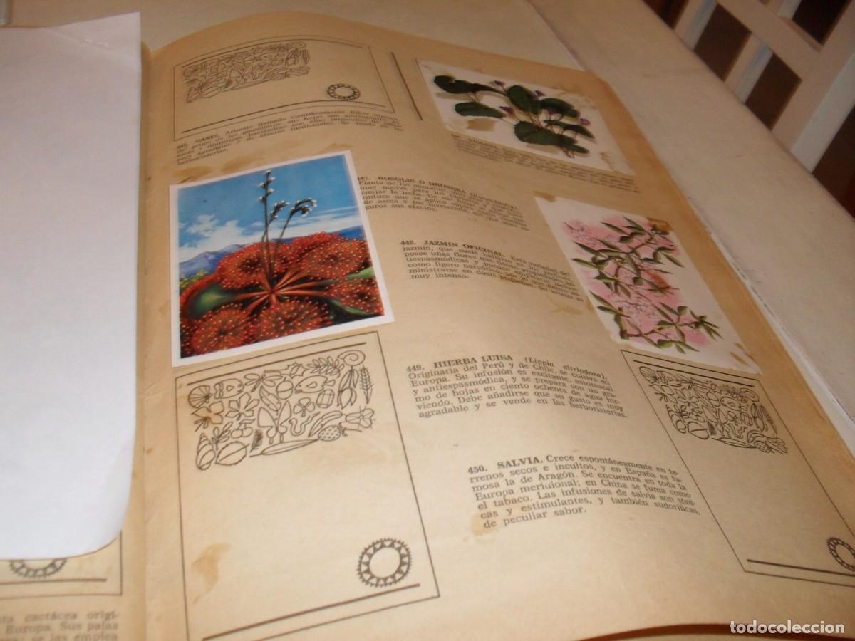 Coleccionismo Cromos antiguos: LAMINA CON 6 CROMOS PLANTAS MEDICINALES,(LEASE),DEL ALBUM HISTORIA NATURAL,BRUGUERA,1967