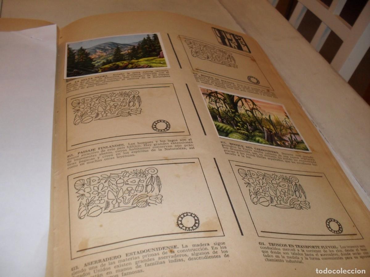 Coleccionismo Cromos antiguos: LAMINA CON 7 CROMOS BOSQUE/FRUTOS,(LEASE),DEL ALBUM HISTORIA NATURAL,BRUGUERA,1967
