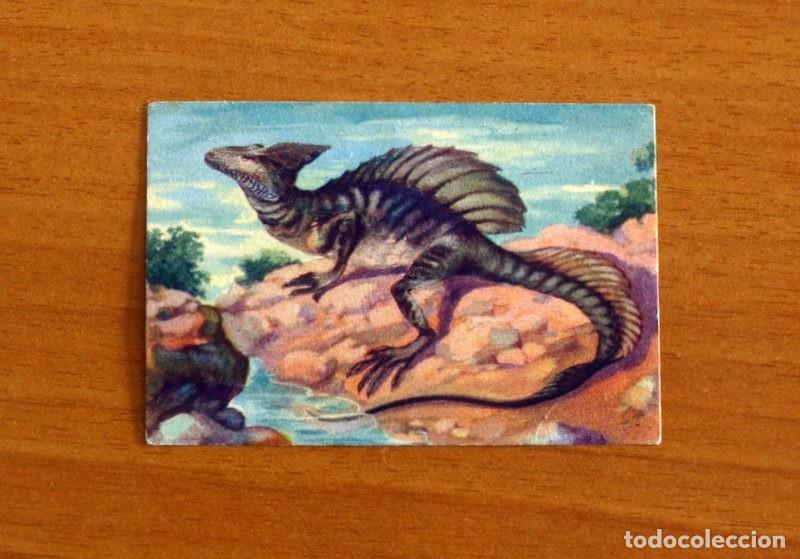 Coleccionismo Cromos antiguos: Historia Natural - N&ordm; 59 Basilisco o Iguana - Editorial Afer A&ntilde;os 40