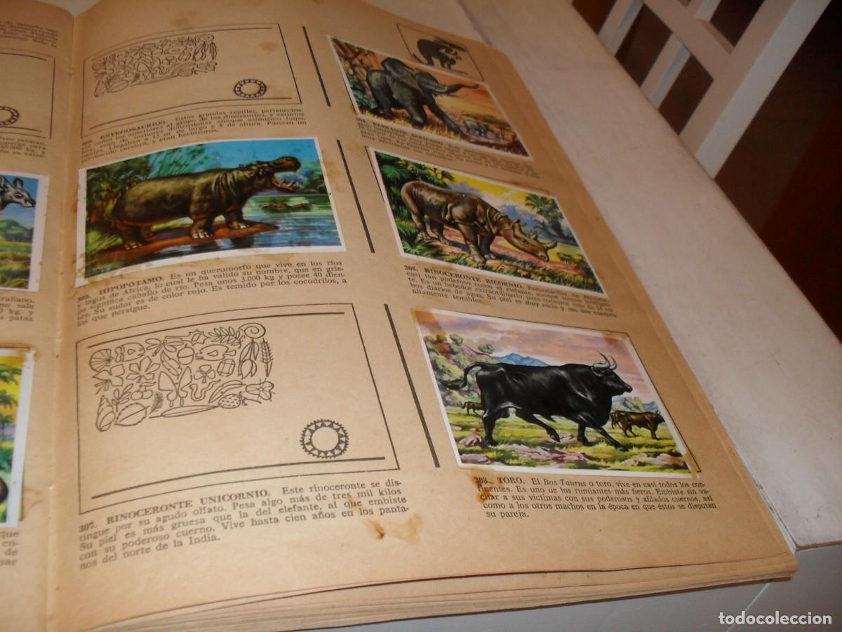 Coleccionismo Cromos antiguos: LAMINA CON 7 CROMOS PESO FUERTE,(LEASE),DEL ALBUM HISTORIA NATURAL,BRUGUERA,1967