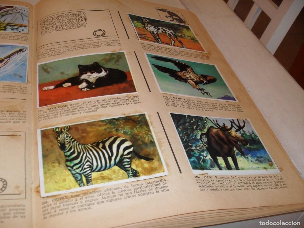 Coleccionismo Cromos antiguos: LAMINA CON 10 CROMOS AMIGOS DEL HOMBRE,(LEASE),DEL ALBUM HISTORIA NATURAL,BRUGUERA,1967