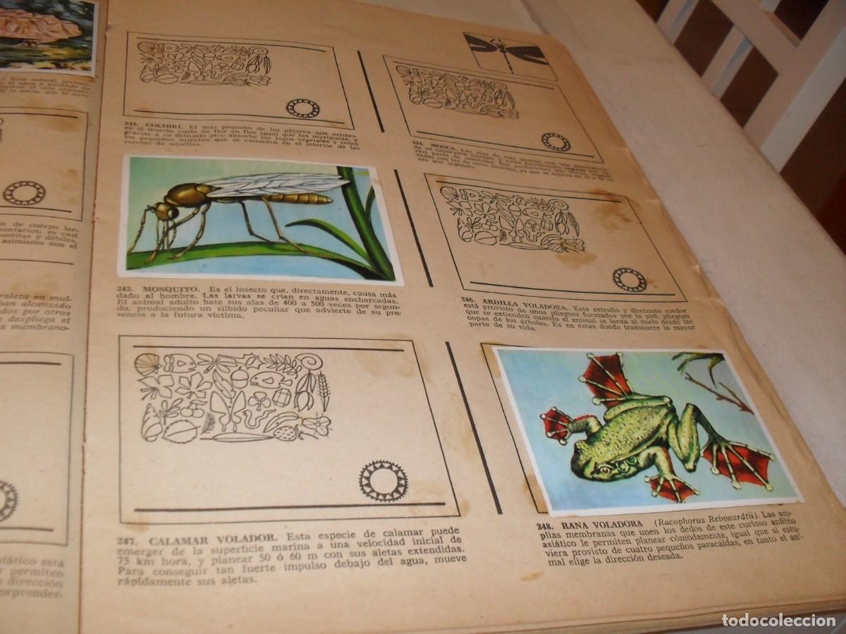 Coleccionismo Cromos antiguos: LAMINA CON 6 CROMOS EXTRA&Ntilde;OS VOLADORES,(LEASE),DEL ALBUM HISTORIA NATURAL,BRUGUERA,1967