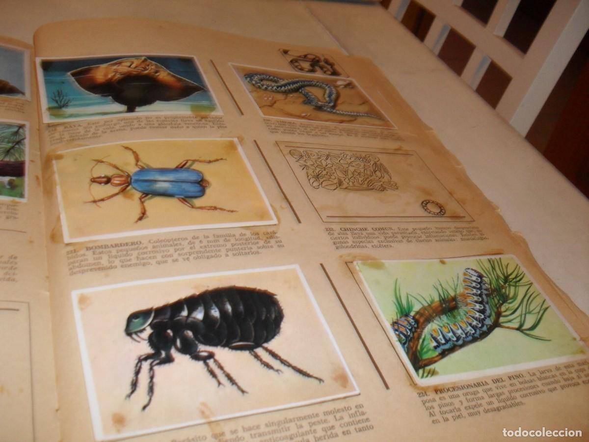 Coleccionismo Cromos antiguos: LAMINA CON 10 CROMOS PORTADORES DE VENENO,(LEASE),DEL ALBUM HISTORIA NATURAL,BRUGUERA,1967