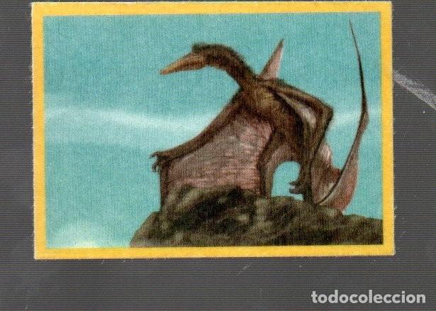 Colecionismo Cromos antigos: CROMOS DE PANINI NATIONAL GEOGRAPHIC CROMO ESPECIAL DE TELA N&ordm; 0,59 SIN PEGAR