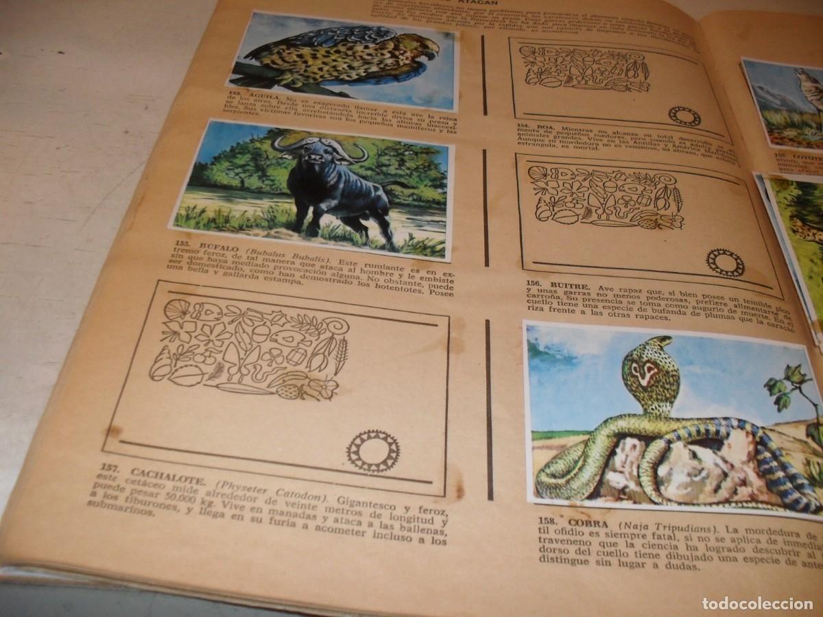 Coleccionismo Cromos antiguos: LAMINA CON 7 CROMOS LOS SEDENTARIOS,(LEASE),DEL ALBUM HISTORIA NATURAL,BRUGUERA,1967