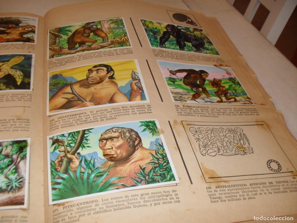 Coleccionismo Cromos antiguos: LAMINA CON 9 CROMOS LOS VECINOS DEL HOMBRE,(LEASE),DEL ALBUM HISTORIA NATURAL,BRUGUERA,1967