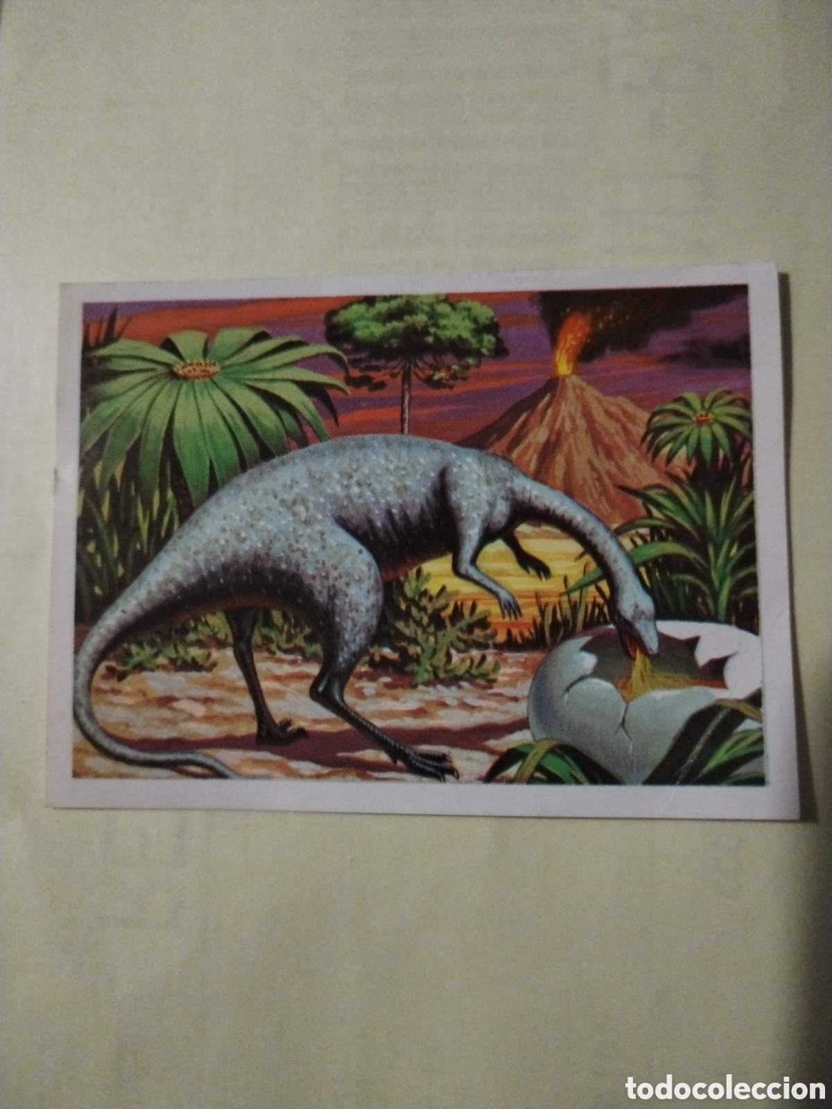 Sammeln alte Sammelbilder: Cromo hace millones de a&ntilde;os Ruiromer 1970 recuperado n&deg;67