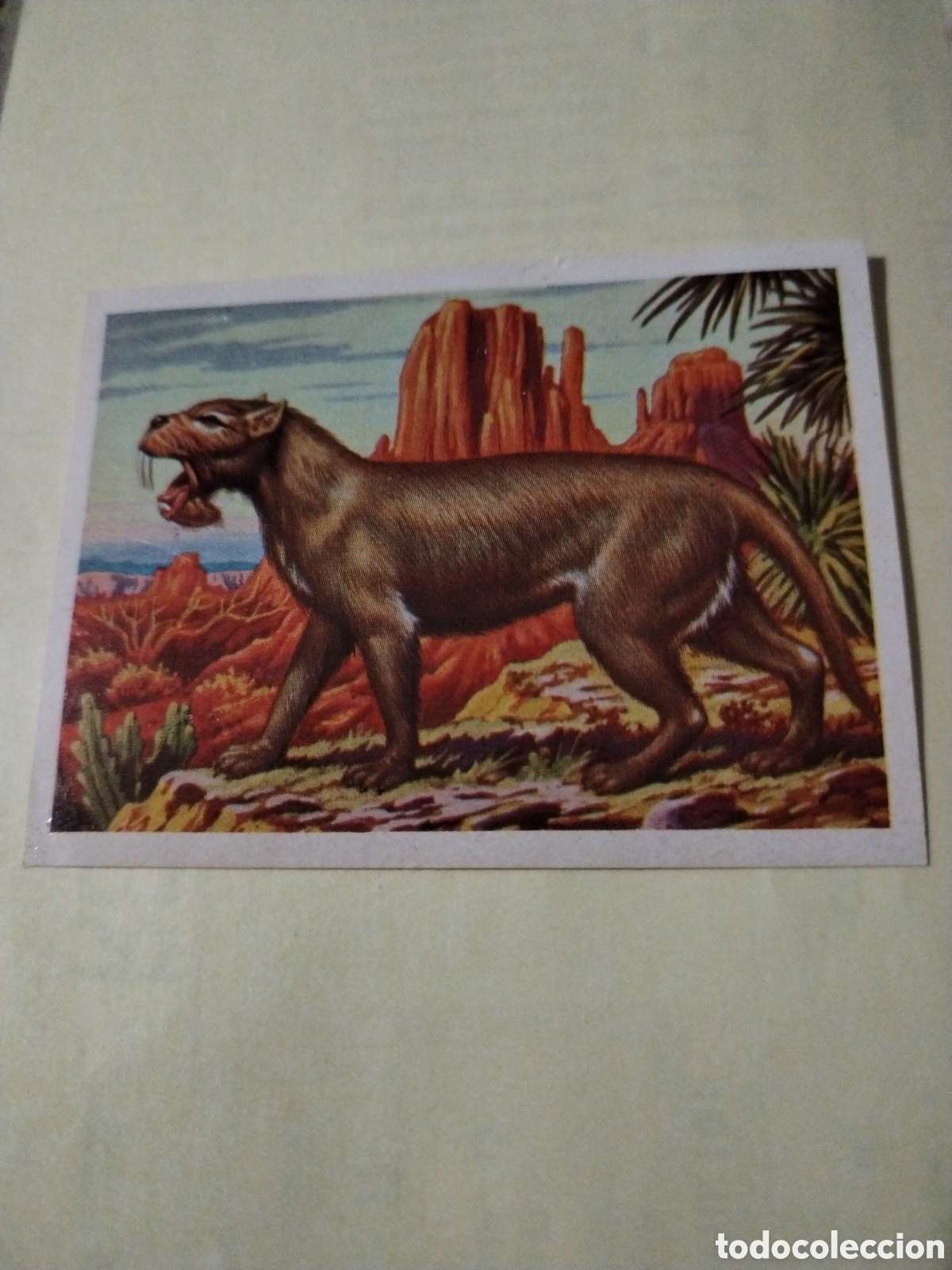 Sammeln alte Sammelbilder: Cromo hace millones de a&ntilde;os Ruiromer 1970 recuperado n&deg;138