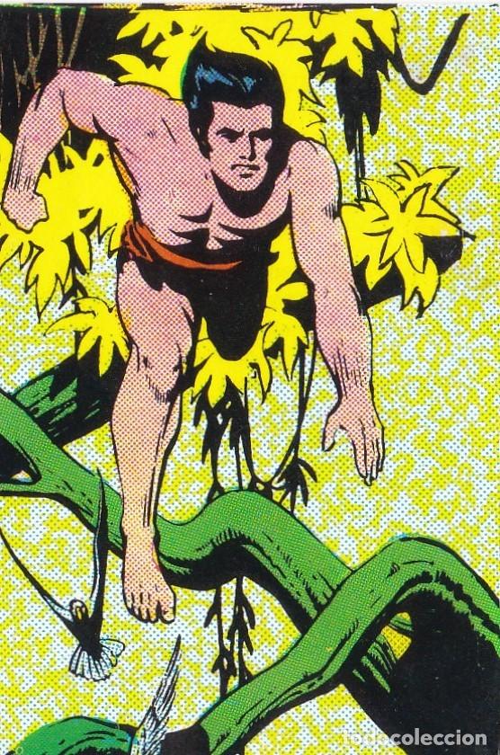 Collectable Antique Stickers: CROMO 161 DEL ALBUM TARZAN, ED FHER 1969, SIN PEGAR MUY BUEN ESTADO