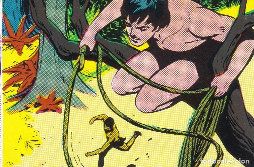 Colecionismo Cromos antigos: CROMO 35 DEL ALBUM TARZAN, ED FHER 1969, SIN PEGAR MUY BUEN ESTADO