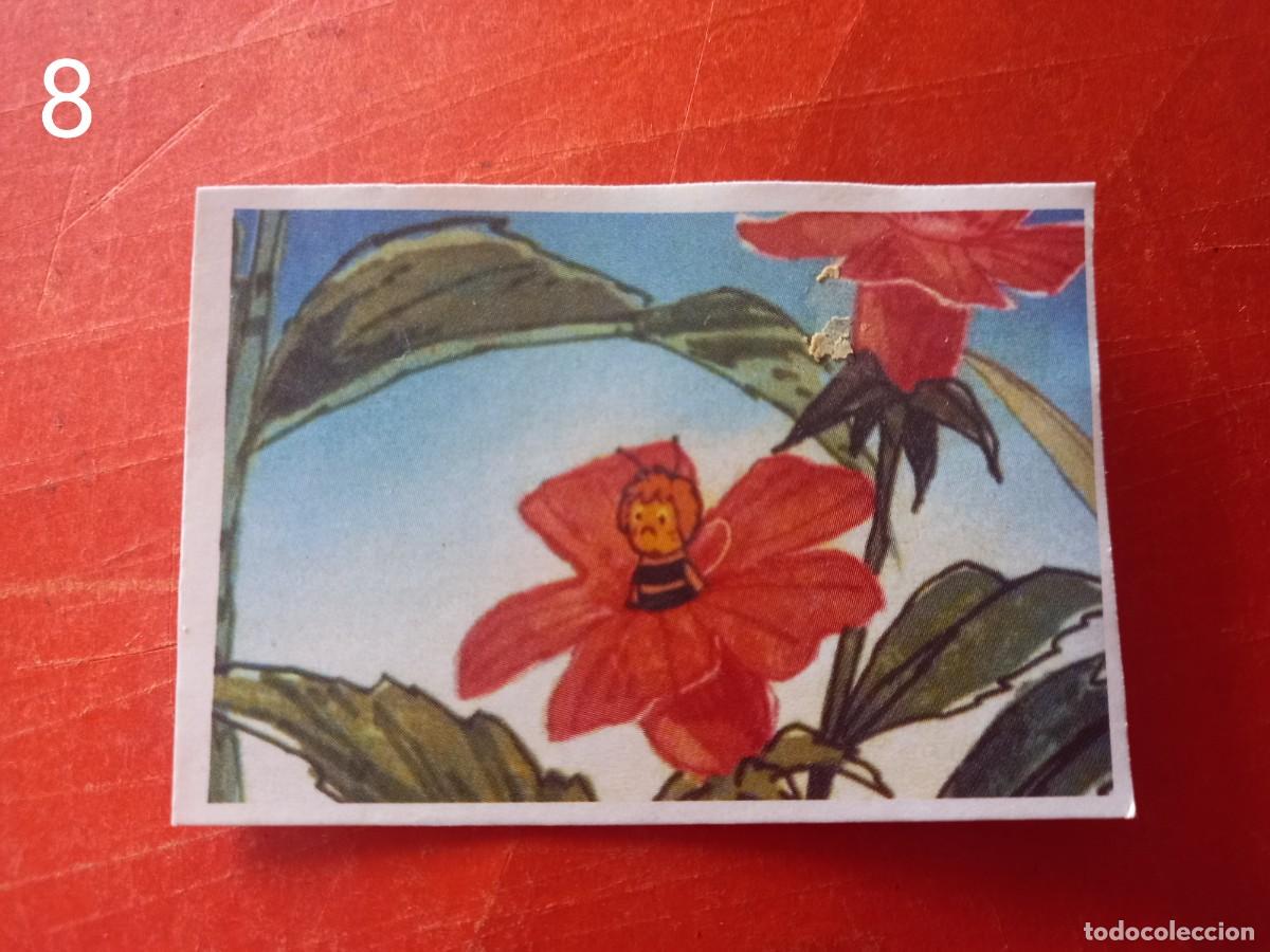 Coleccionismo cromos antiguos: Cromo n.8 Abeja maya RBA - Foto 1