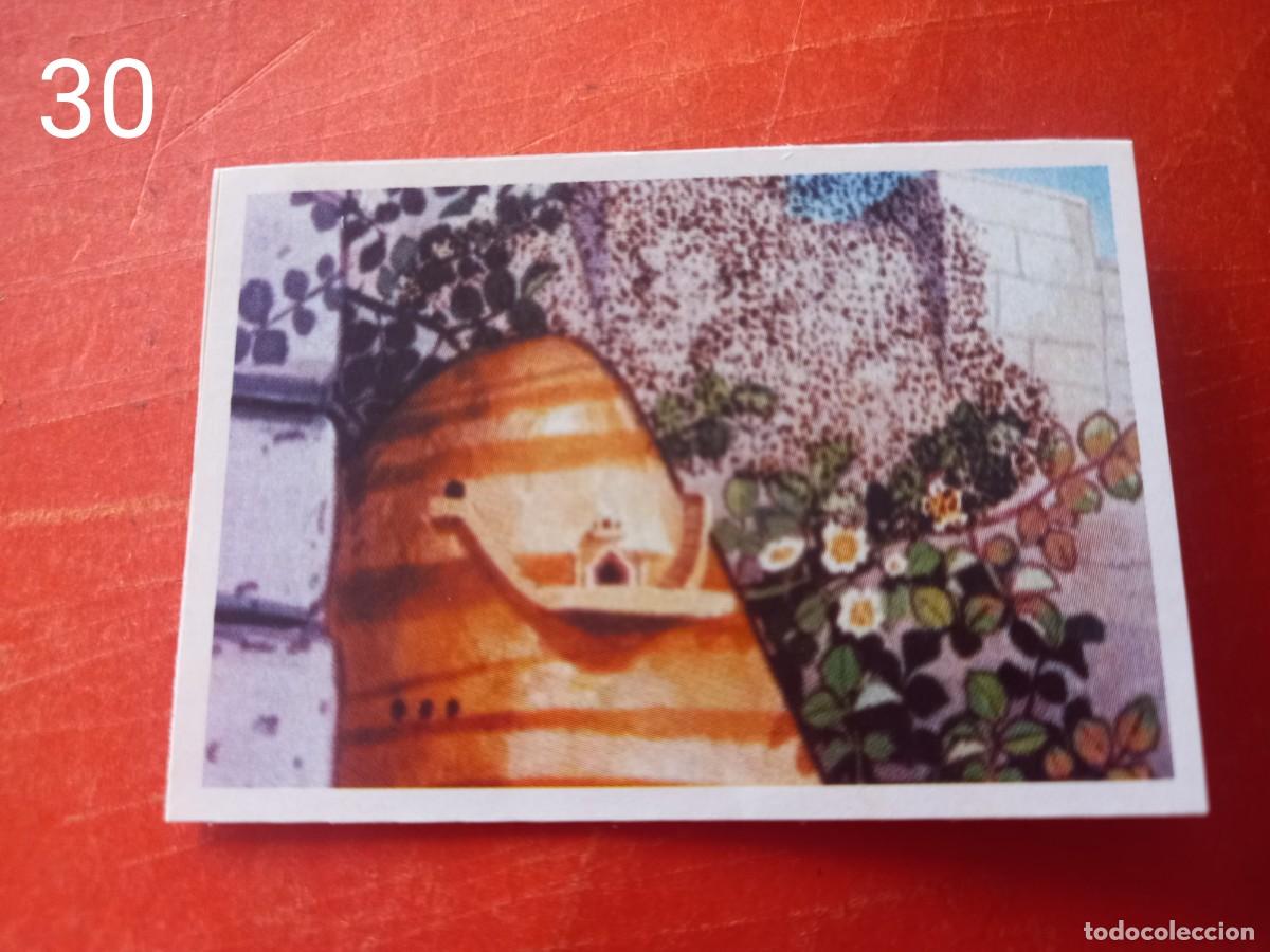 Coleccionismo cromos antiguos: Cromo n.30 Abeja maya RBA - Foto 1