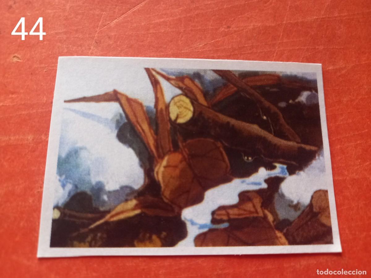 Coleccionismo cromos antiguos: Cromo n.44 Abeja maya RBA - Foto 1