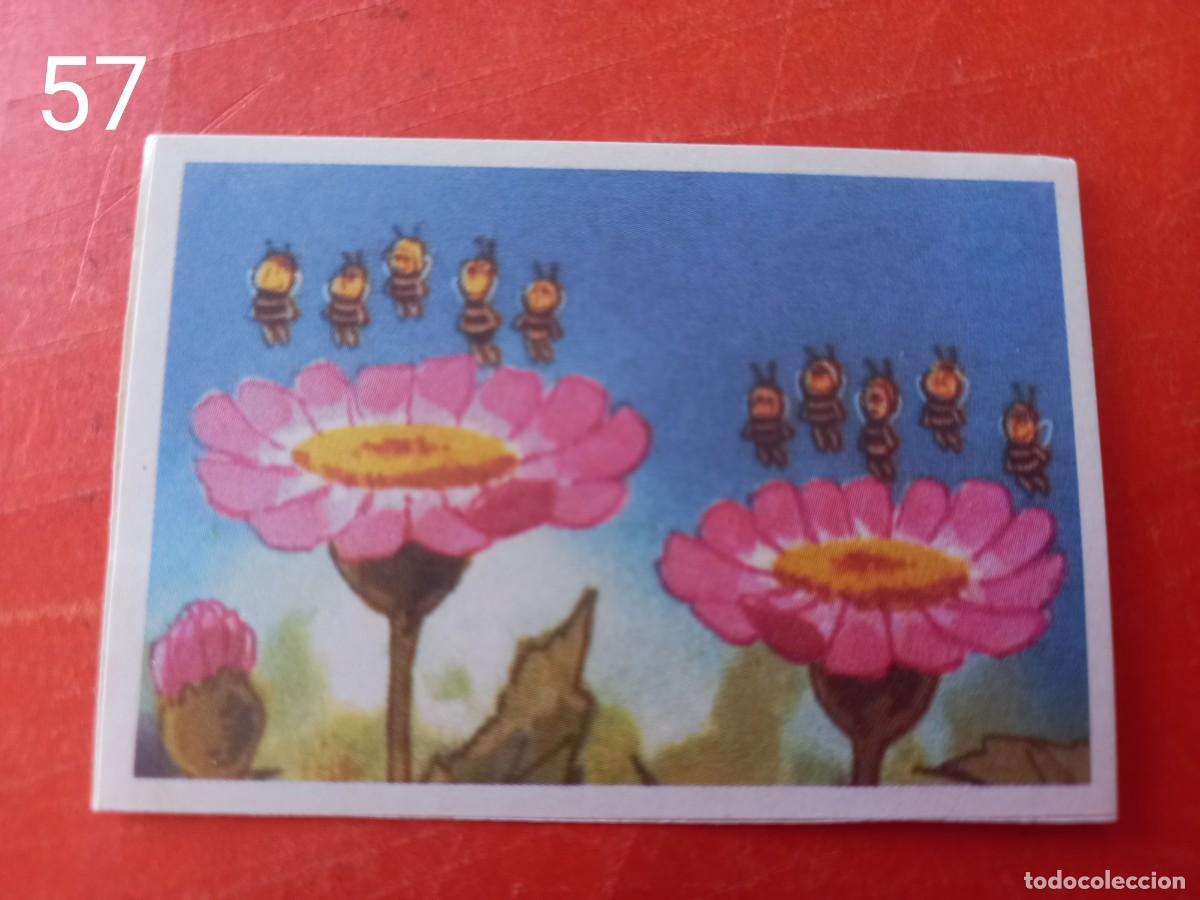 Coleccionismo cromos antiguos: Cromo n.57 Abeja maya RBA - Foto 1