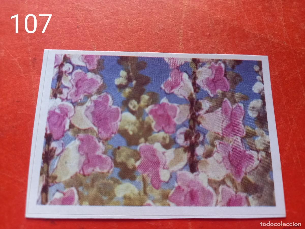 Coleccionismo cromos antiguos: Cromo n.107 Abeja maya RBA - Foto 1