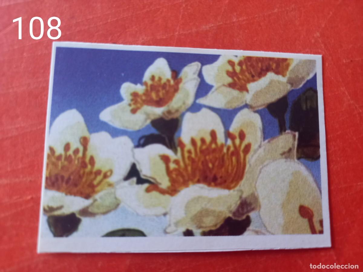 Coleccionismo cromos antiguos: Cromo n.108 Abeja maya RBA - Foto 1