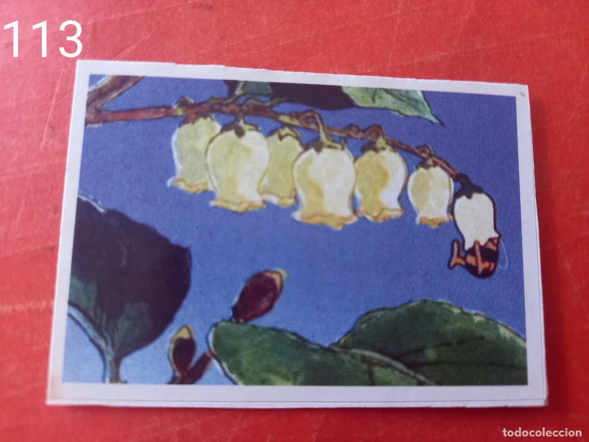 Coleccionismo cromos antiguos: Cromo n.113 Abeja maya RBA - Foto 1