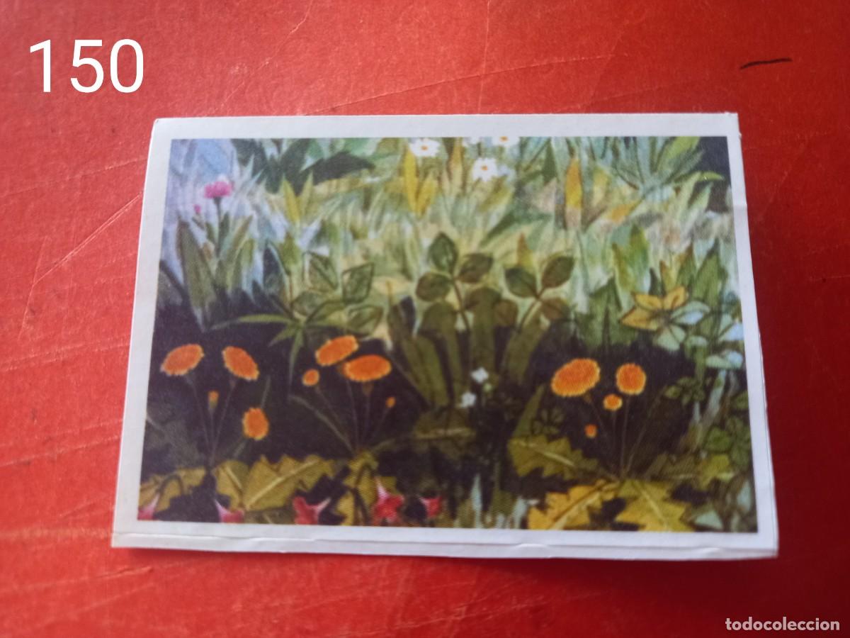Coleccionismo cromos antiguos: Cromo n.150 Abeja maya RBA - Foto 1