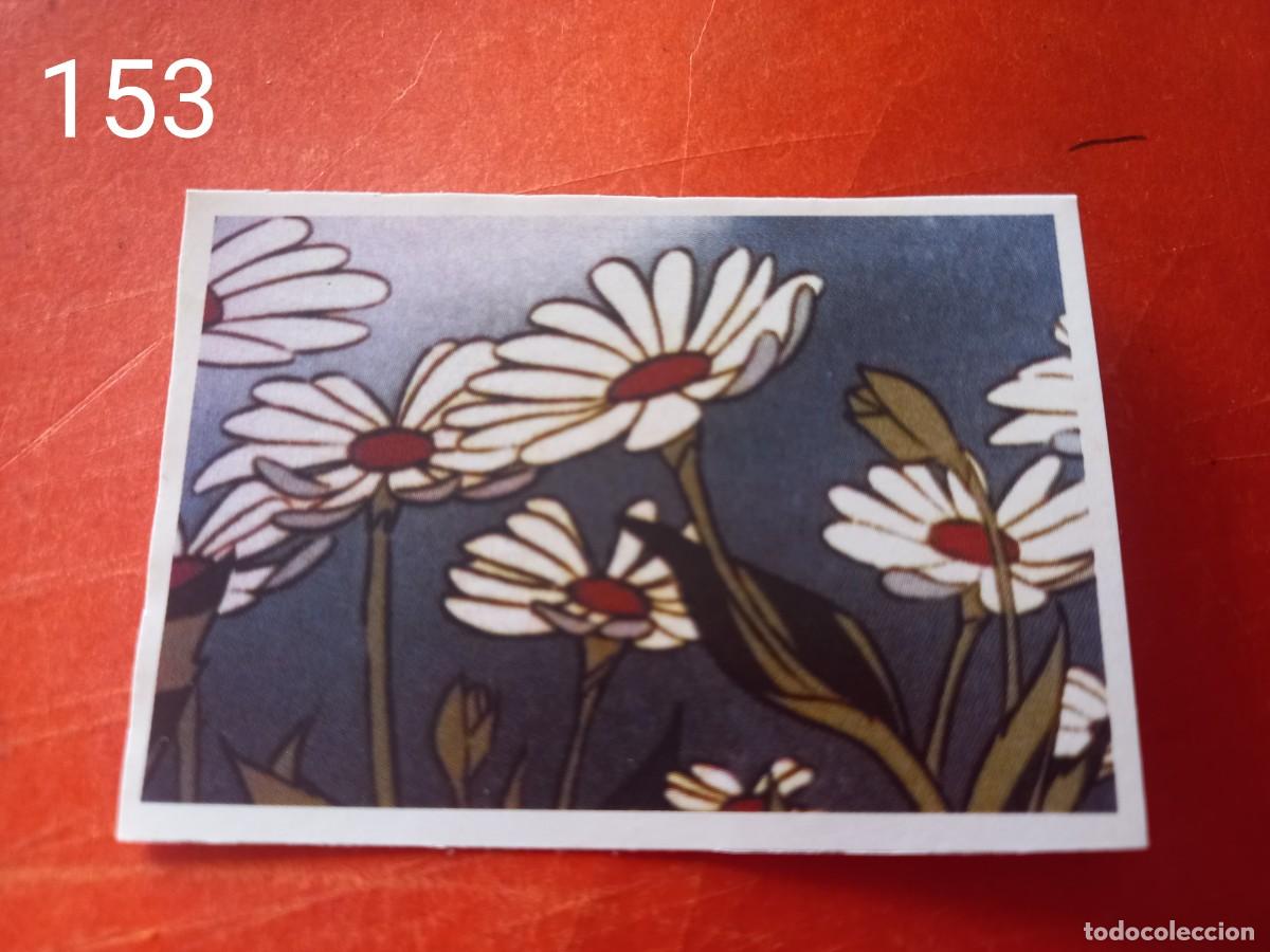 Coleccionismo cromos antiguos: Cromo n.153 Abeja maya RBA - Foto 1