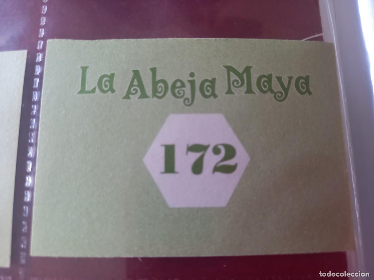 Coleccionismo cromos antiguos: Cromo n.172 Abeja maya RBA - Foto 2