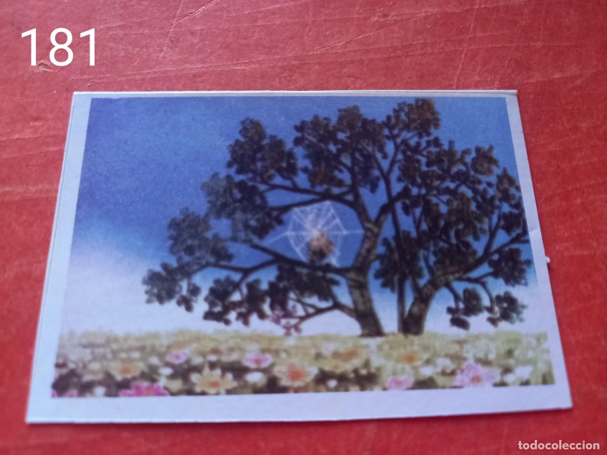 Coleccionismo cromos antiguos: Cromo n.181 Abeja maya RBA - Foto 1
