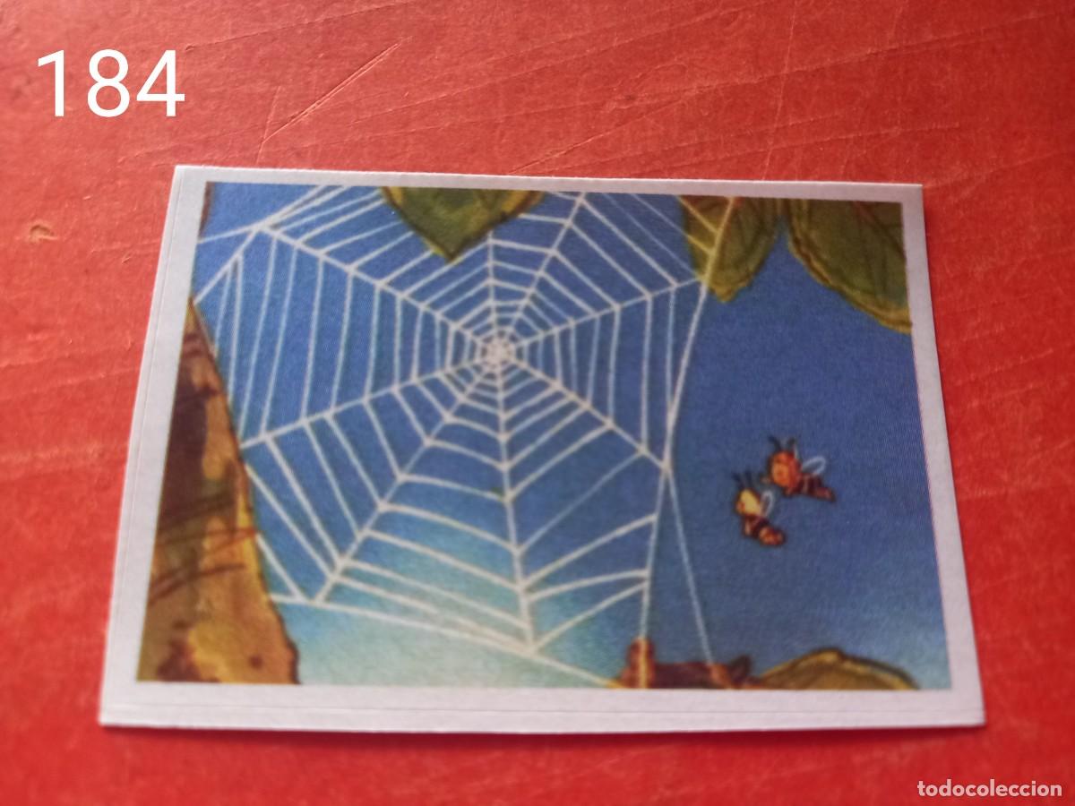 Coleccionismo cromos antiguos: Cromo n.184 Abeja maya RBA - Foto 1