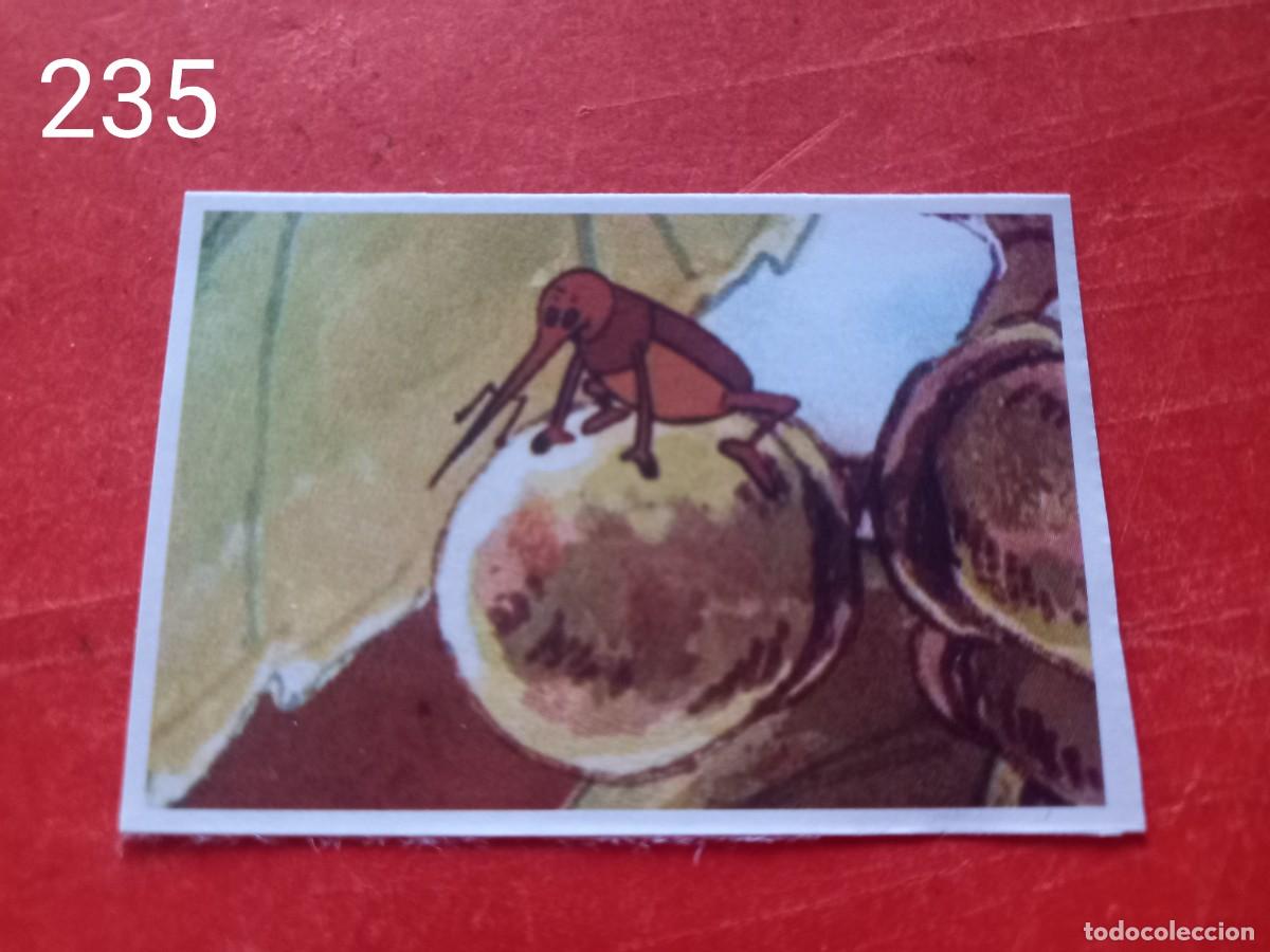 Coleccionismo cromos antiguos: Cromo n.235 Abeja maya RBA - Foto 1