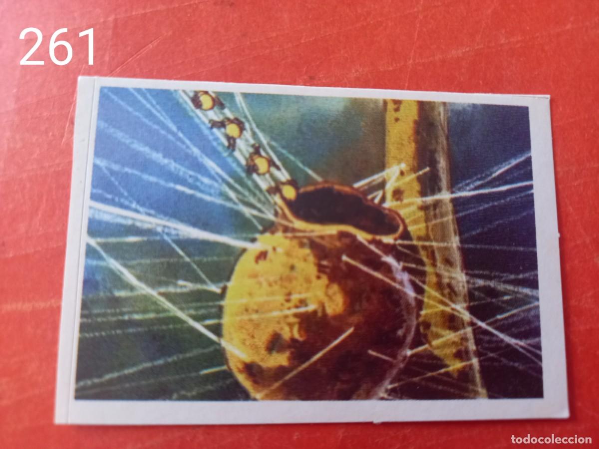 Coleccionismo cromos antiguos: Cromo n.261 Abeja maya RBA - Foto 1