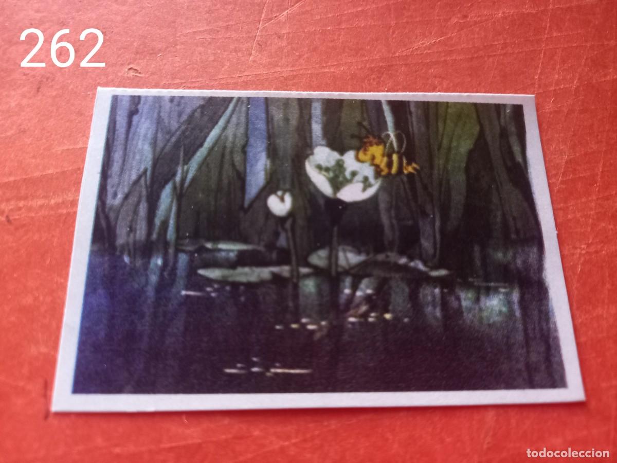 Coleccionismo cromos antiguos: Cromo n.262 Abeja maya RBA - Foto 1