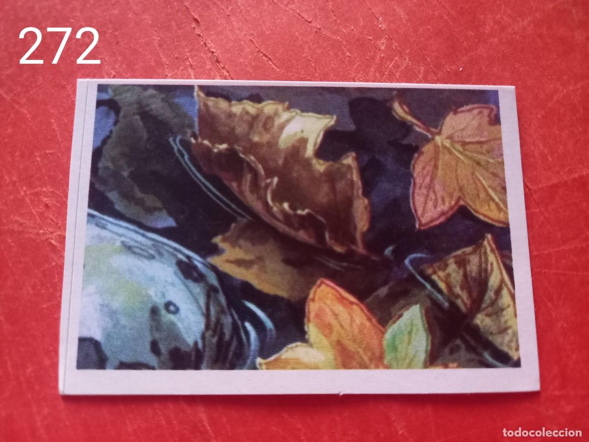 Coleccionismo cromos antiguos: Cromo n.272 Abeja maya RBA - Foto 1
