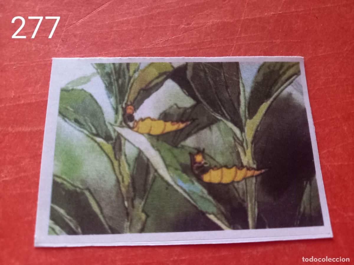 Coleccionismo cromos antiguos: Cromo n.277 Abeja maya RBA - Foto 1