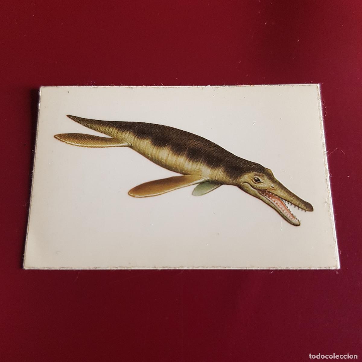 Coleccionismo cromos antiguos: EDICIONES SALVAT - DINOSAURIOS - KRONOSAURUS - NUNCA PEGADO - Foto 1