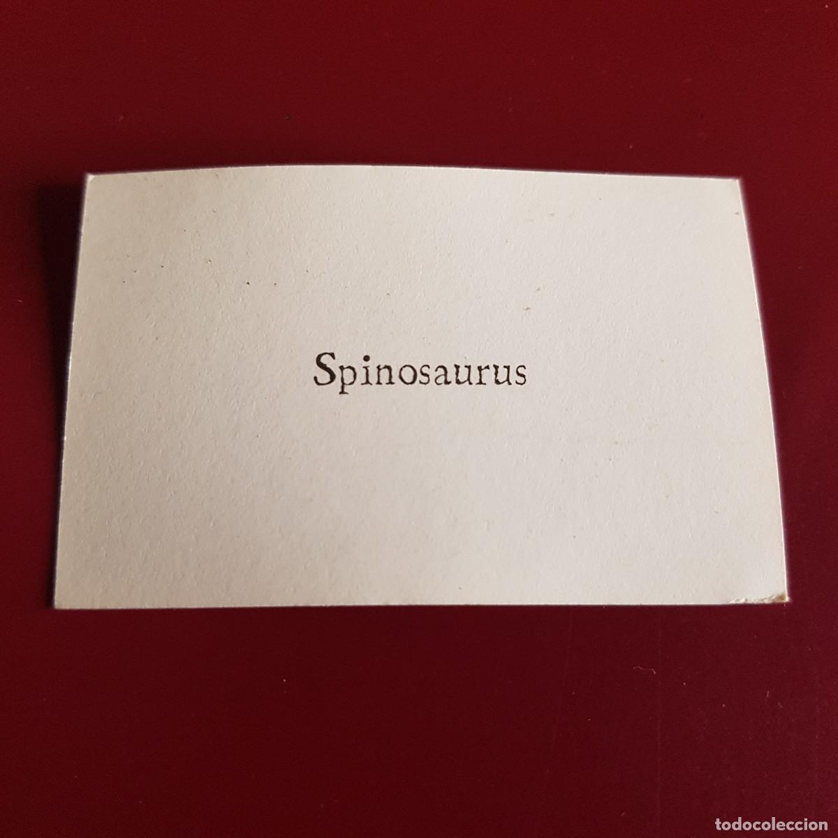 Coleccionismo cromos antiguos: EDICIONES SALVAT - DINOSAURIOS - SPINOSAURUS - NUNCA PEGADO - Foto 2