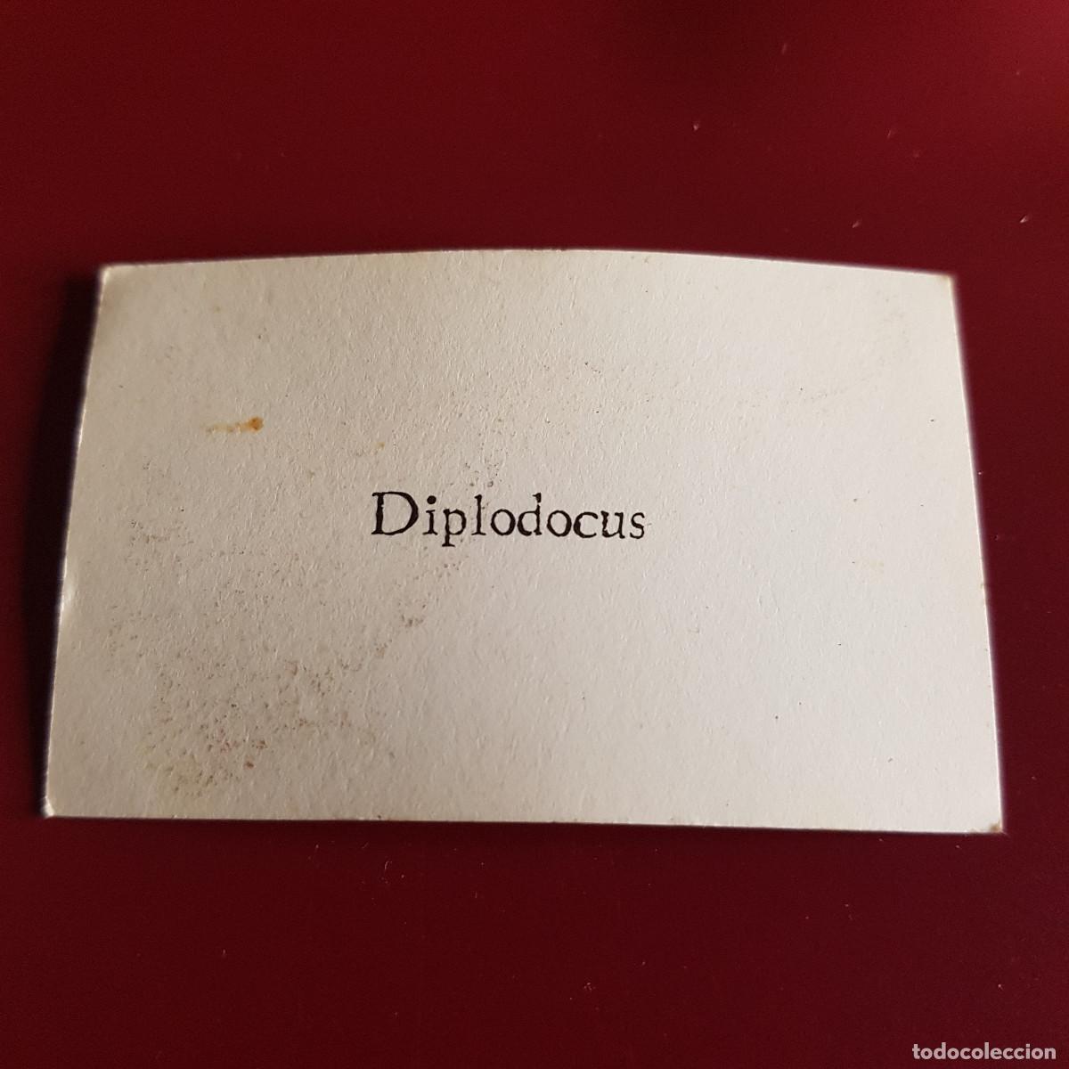 Coleccionismo cromos antiguos: EDICIONES SALVAT - DINOSAURIOS - DIPLODOCUS - NUNCA PEGADO - Foto 2